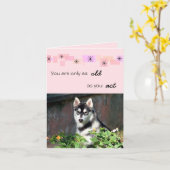 シベリアンハスキーのバースデー・カード カード (黄色い花)