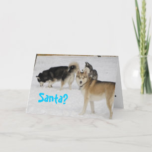シベリアンハスキーの休日のクリスマスカード シーズンカード