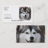 シベリアンハスキーの名刺 名刺 (正面/裏面)
