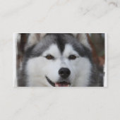 シベリアンハスキーの名刺 名刺 (裏面)