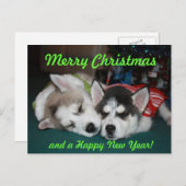 シベリアンハスキーの子犬の郵便はがき シーズンポストカード (正面/裏面)