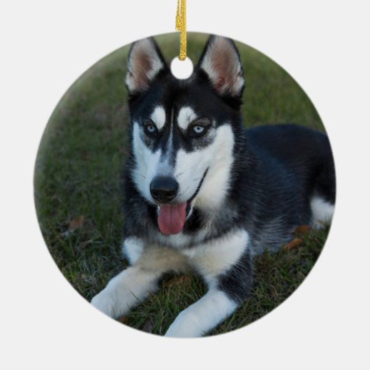 シベリアンハスキーの子犬をパーソナライズ セラミックオーナメント (裏面)