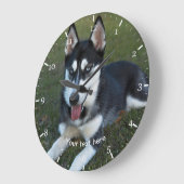 シベリアンハスキーの子犬 ラージ壁時計 (傾斜)