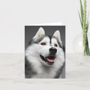 シベリアンハスキーの小犬-こんにちは、愛は、恋しく思います、 カード