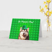 シベリアンハスキーのSt patricks dayのクローブの挨拶状 カード (黄色い花)