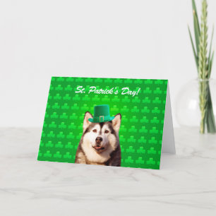 シベリアンハスキーのSt patricks dayのクローブの挨拶状 カード