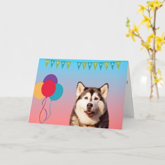 シベリアンハスキー犬のハッピーバースデーの挨拶状 カード (黄色い花)