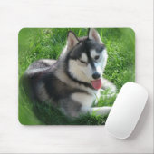 シベリアンハスキー犬のマウスパッド マウスパッド (マウス)