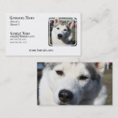 シベリアンハスキー犬の写真の名刺 名刺 (正面/裏面)