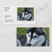 シベリアンハスキー犬の名刺 名刺 (正面/裏面)