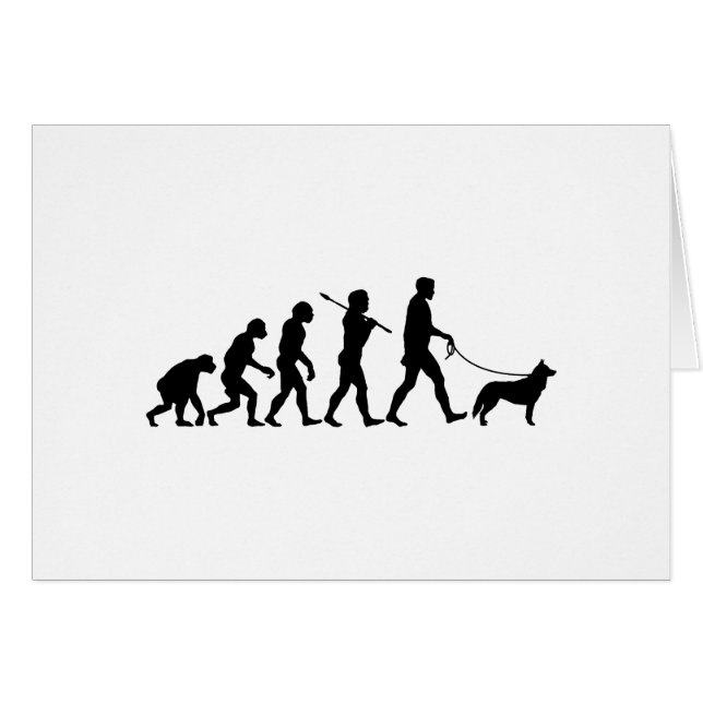 シベリアンハスキー (正面横)