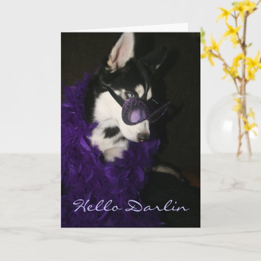 シベリアンハスキー カード (黄色い花)