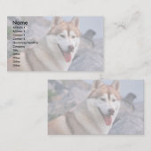 シベリアンハスキー 名刺 (正面/裏面)