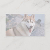 シベリアンハスキー 名刺 (裏面)