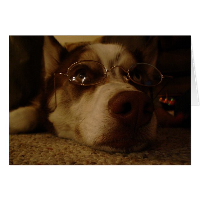 シベリアンハスキー(5) (正面横)