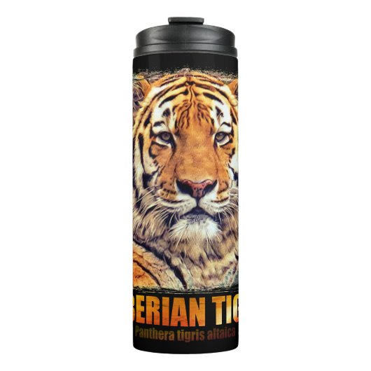 シベリアン・タイガー タンブラー (正面)