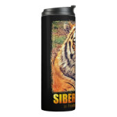 シベリアン・タイガー タンブラー (回転左)