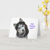 シベリアン・ハスキーが好調に カード (黄色い花)