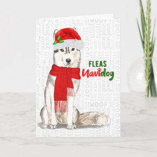 シベリアン・ハスキーのクリスマス・ドッグ「NaviDOG」 シーズンカード