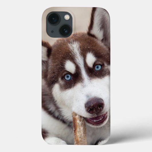 シベリアン・ハスキーの子犬ビーチ Case-Mate iPhoneケース (裏面)
