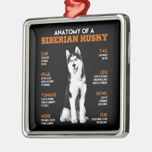 シベリアン·ハスキー犬術おもしろいの解剖 メタルオーナメント (左)