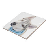 シベリアン·ハスキー·ミックスが頭を傾ける タイル (側面)