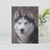 シベリアン・ハスキー 招待状 (スタンド正面)