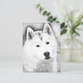 シベリアン・ハスキー（青い目付き）ファインアートスケッチ ポストカード (スタンド正面)