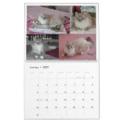 シベリア猫のカレンダー2008年 カレンダー (1月 2027)