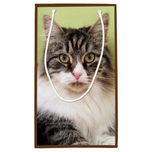 シベリア猫のギフトバッグ スモールペーパーバッグ (裏面)