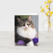 シベリア猫のメッセージカード カード (黄色い花)