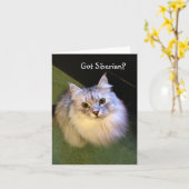 シベリア猫のメッセージカード カード (黄色い花)