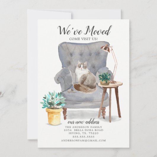 シベリア猫の動きのお知らせ 案内状 (正面)