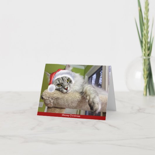 シベリア猫クリスマスカード シーズンカード (正面)