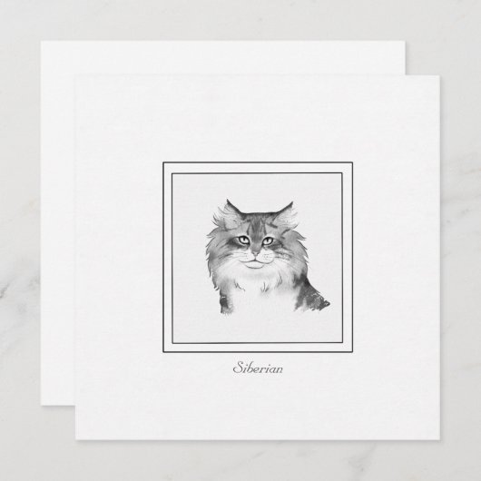 シベリア猫フラットノートカードのチョークスケッチ ノートカード (正面/裏面)