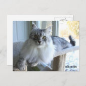 シベリア猫種はがき ポストカード (正面/裏面)