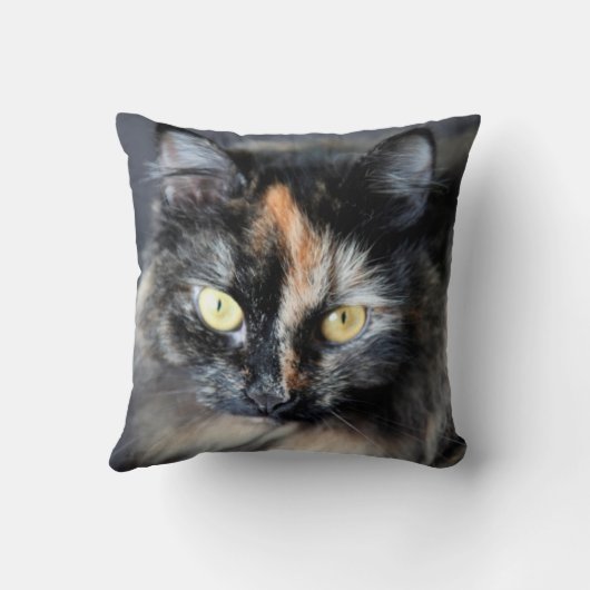 シベリア猫 クッション (裏面)