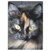 シベリア猫 クリップボード (裏面)