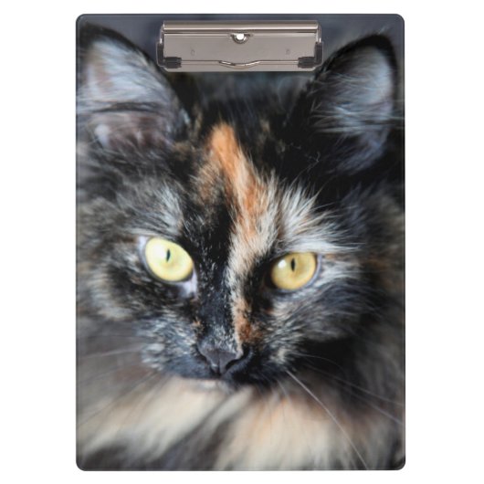 シベリア猫 クリップボード (正面)