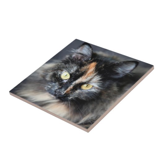 シベリア猫 タイル (側面)