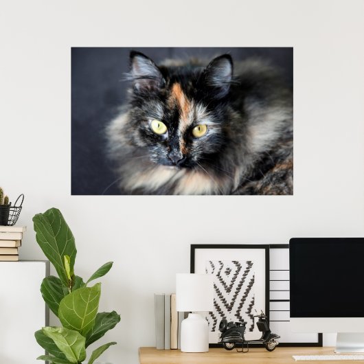 シベリア猫 ポスター (ホームオフィス)