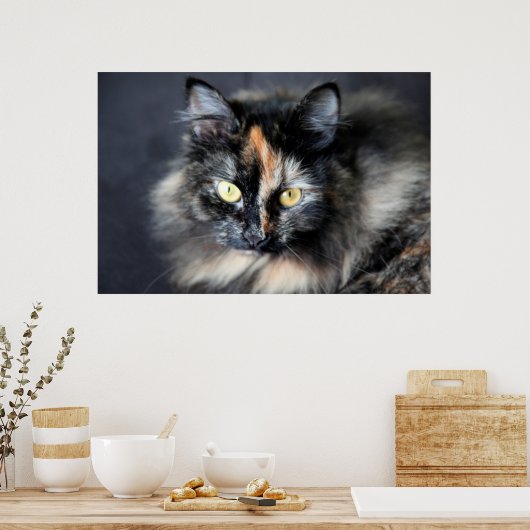 シベリア猫 ポスター (キッチン)