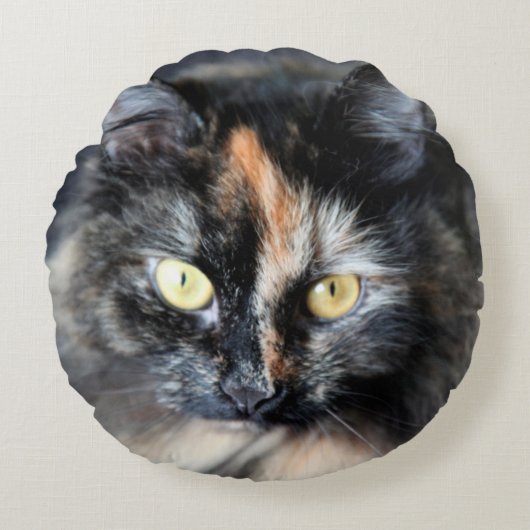 シベリア猫 ラウンドクッション (正面)