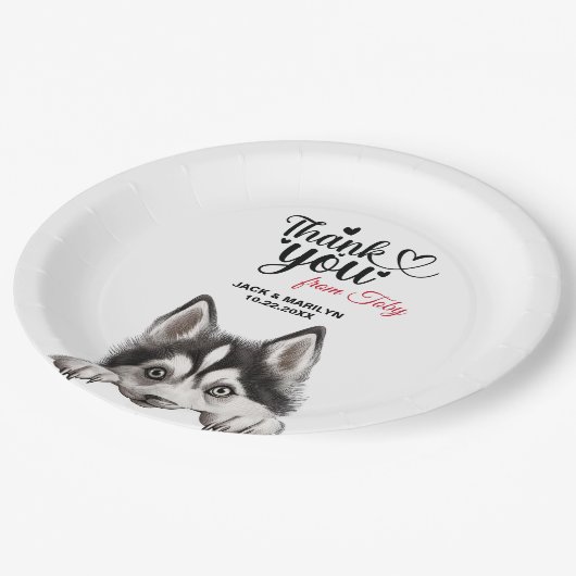 シベリア結婚ハスキー犬 ペーパープレート (アングル)