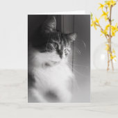 シベリア考え猫のカード カード (黄色い花)