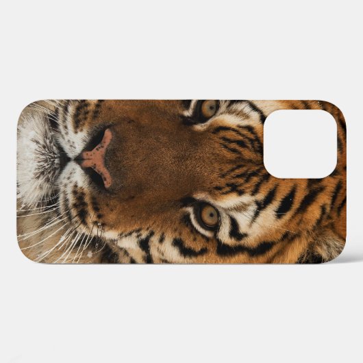 シベリア虎の頭撃 Case-Mate iPhoneケース (裏面 (横))