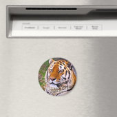 シベリア虎マグネット マグネット (インサイチュ (食洗機))