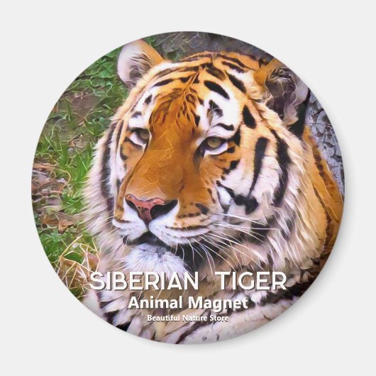シベリア虎マグネット マグネット (正面)