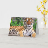 シベリア虎 カード (黄色い花)