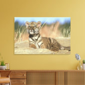 シベリア虎 キャンバスプリント (インサイチュ (リビング))